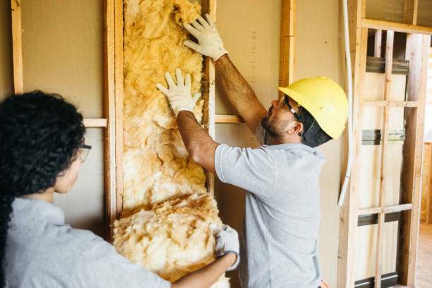 Best Professional Insulation Contractor  in Westport, WA